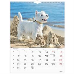 Vægkalender Hunde 2026